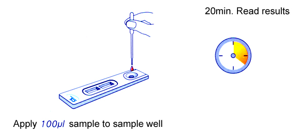 syphillis_test