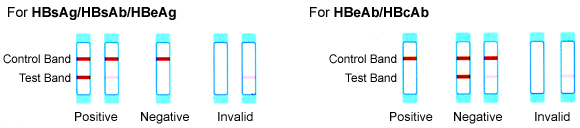 multi_hbv_result